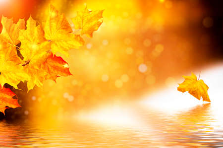Blurred. autumn landscape with bright colorful leaves. Indian summer. foliage.