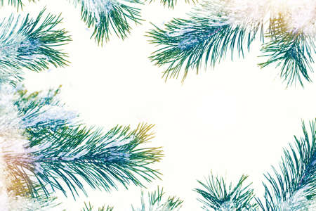 Christmas tree in the snow isolated on a white background. greeting card. winter