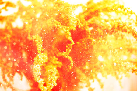 Abstract blurred background. autumn landscape with bright colorful grass. Indian summer. herb.の写真素材