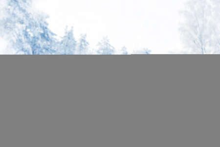 Frozen winter forest with snow covered trees. outdoorの写真素材