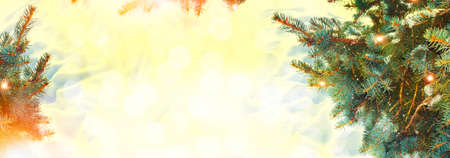 Christmas tree in the snow. greeting card. winterの写真素材