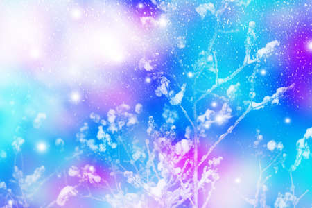 Heavy snowfall. Blizzard. Frozen winter forest with snow covered trees. outdoor. Festive Christmas...