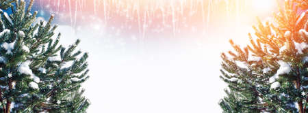 Frozen winter forest with snow covered trees. outdoor