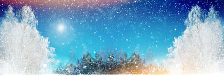 Frozen winter forest with snow covered trees. outdoor