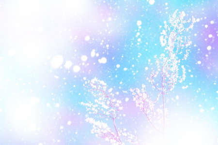 Blurred frozen grass. Winter abstract background. Landscape. outdoor
