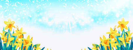 Bright and colorful flowers of daffodils on the background of the spring landscapeの写真素材