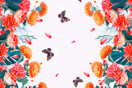 Colorful autumn flowers of chrysanthemum on a white background. natureの写真素材