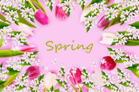Natural floral background of spring bright flowers. Top view tulips.