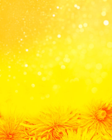 Bright colorful spring background of yellow dandelion flowers. summer landscape.の写真素材