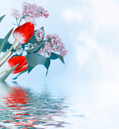 Natural floral background of spring bright flowers. tulip, lilacの写真素材