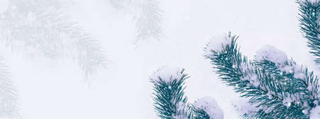Frozen winter forest with snow covered trees. outdoorの写真素材