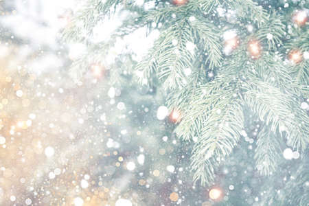 Blurred. Christmas tree in the snow. greeting card. winter