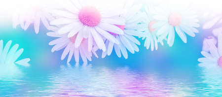 White bright daisy flowers on a background of the summer landscape. Wildflowers outdoorsの写真素材