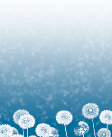 Fluffy dandelion flower against the background of the summer landscape. wildflowerの写真素材