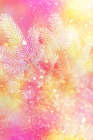 Blurred. Christmas tree in the snow. greeting card. winterの写真素材