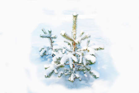 Frozen winter forest with snow covered trees. outdoorの写真素材