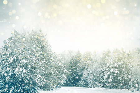 christmas card. Blur. Frozen winter forest with snow covered trees. outdoor. New Year's Eveの写真素材