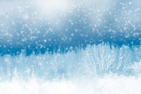 Blur. Frozen winter forest with snow covered trees. outdoor. New Year's Eveの写真素材