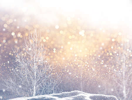Frozen winter forest with snow covered trees. outdoor. Festive Christmas card.