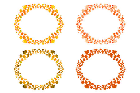 Bright autumn maple leaf on a white background. foliage. Fall conceptの写真素材