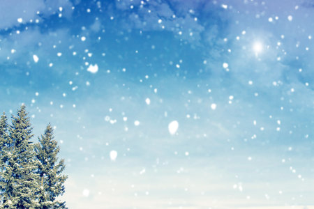 Frozen winter forest with snow covered trees. outdoor