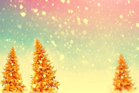 Frozen winter forest with snow covered trees. outdoor