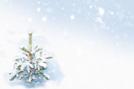 Frozen winter forest with snow covered trees. outdoorの写真素材
