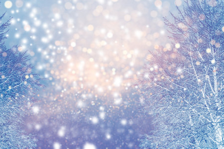 Frozen winter forest with snow covered trees. outdoor. Festive Christmas card.の写真素材