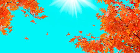 autumn landscape with bright colorful leaves. Indian summer. foliage.の写真素材