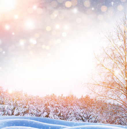 Frozen winter forest with snow covered trees. outdoorの写真素材