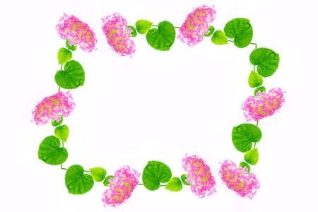 Colorful autumn flowers of hydrangea on a white background. floral composition.の写真素材