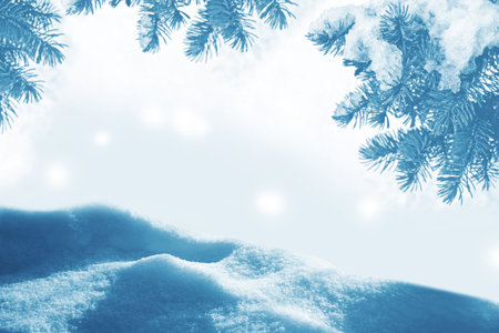 Frozen winter forest with snow covered trees. Coniferous spruce branch. outdoorの写真素材