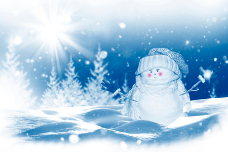 Funny happy snowman. Winter landscape. Merry christmas and happy new year greeting cardの写真素材