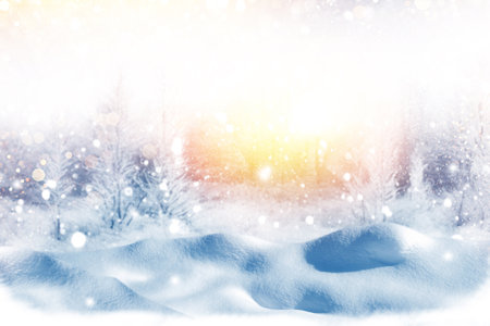 landscape. Frozen winter forest with snow covered trees. outdoorの写真素材