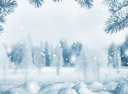 Merry Christmas and Happy New Year. Frozen winter forest with snow covered trees. outdoorの写真素材