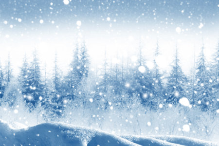 Merry Christmas and Happy New Year. Frozen winter forest with snow covered trees. outdoorの写真素材