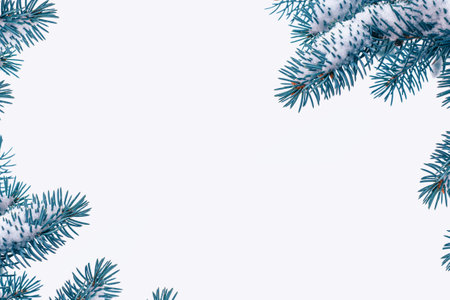 The branches of the snow-covered Christmas tree on a white background. winterの写真素材