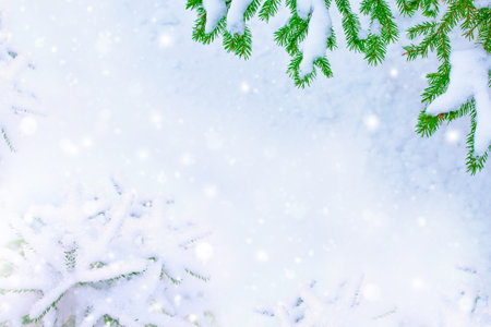 Merry Christmas and Happy New Year. Frozen winter forest with snow covered trees. outdoorの写真素材
