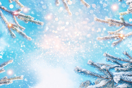 Frozen winter forest with snow covered trees. Coniferous spruce branch. outdoorの写真素材