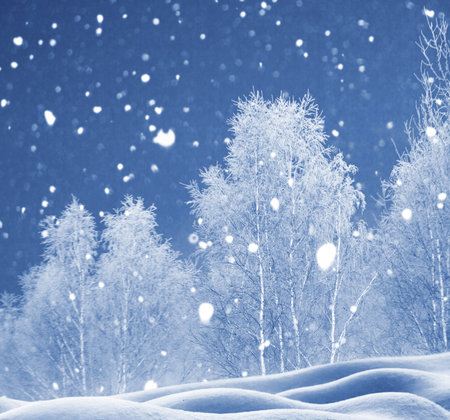 Frozen winter forest with snow covered trees. outdoor. Festive Christmas card.の写真素材