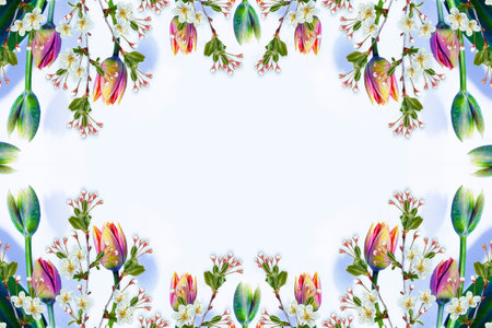 nature. Blossoming branch apple, tulips. Bright colorful spring flowers.の写真素材