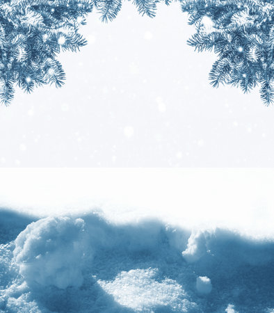 The texture of the snow. The branches of the snow-covered Christmas tree on a white background. winterの写真素材