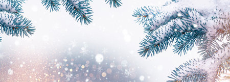 Frozen winter forest with snow covered trees. Coniferous spruce branch. outdoor