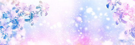 nature. Blossoming branch cherry. Bright colorful spring flowersの写真素材