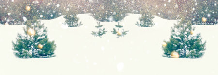 landscapes. Frozen winter forest with snow covered trees. outdoorの写真素材