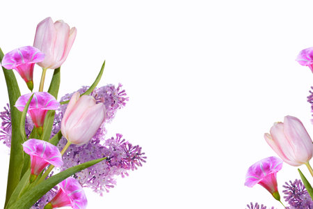 Natural floral background of spring bright flowers. tulip, lilacの写真素材