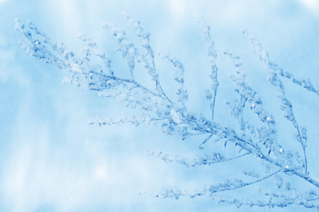 Blurred frozen grass. Winter abstract natural background. landscape. outdoorの写真素材