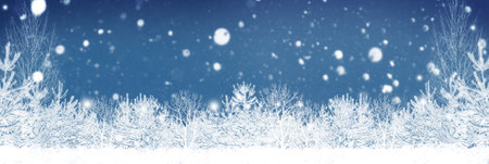 natural frame. landscapes. Frozen winter forest with snow covered trees. outdoorの写真素材