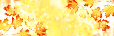 autumn landscape with bright colorful leaves. Indian summer. foliage.の写真素材