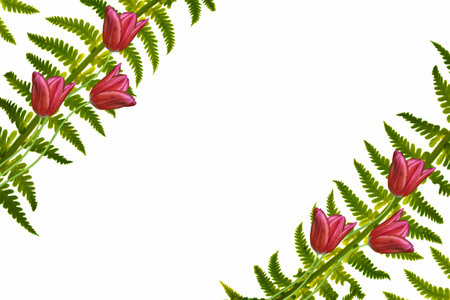Bouquet. greeting card. spring flowers tulips isolated on white background. floral collection.の写真素材